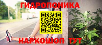 ECSTASY Камышлов